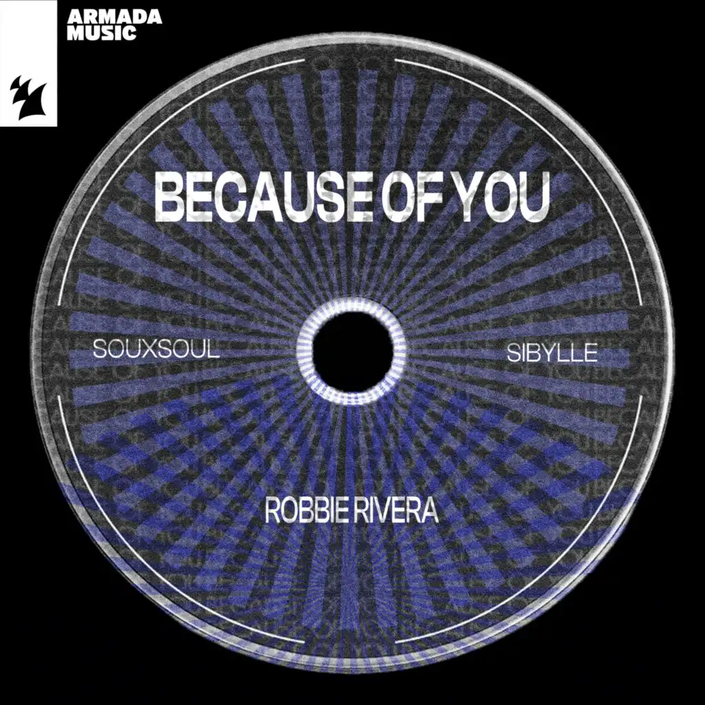 Because of You (Extended Mix) [feat. Sibylle]