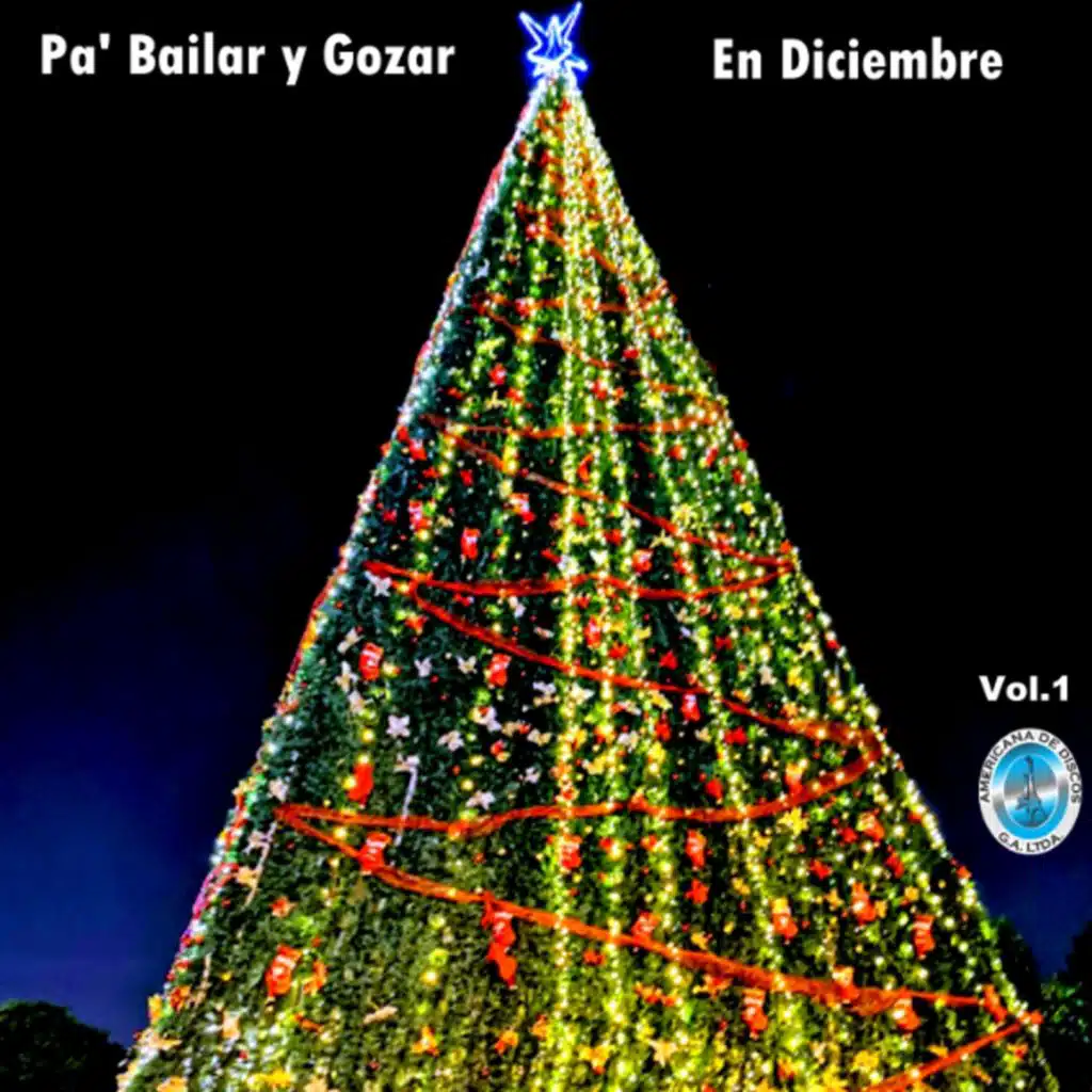 Pa' Bailar y Gozar en Diciembre, Vol. 1