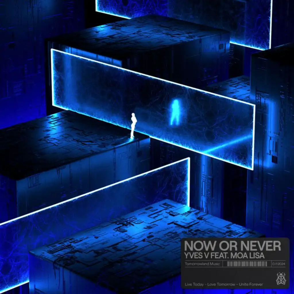 Now Or Never (feat. Moa Lisa)