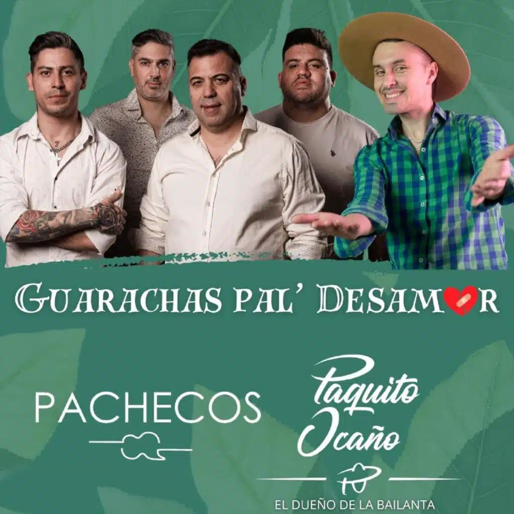 Pachecos