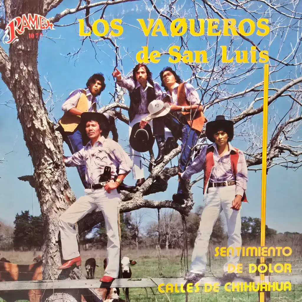 Los Vaqueros de San Luis