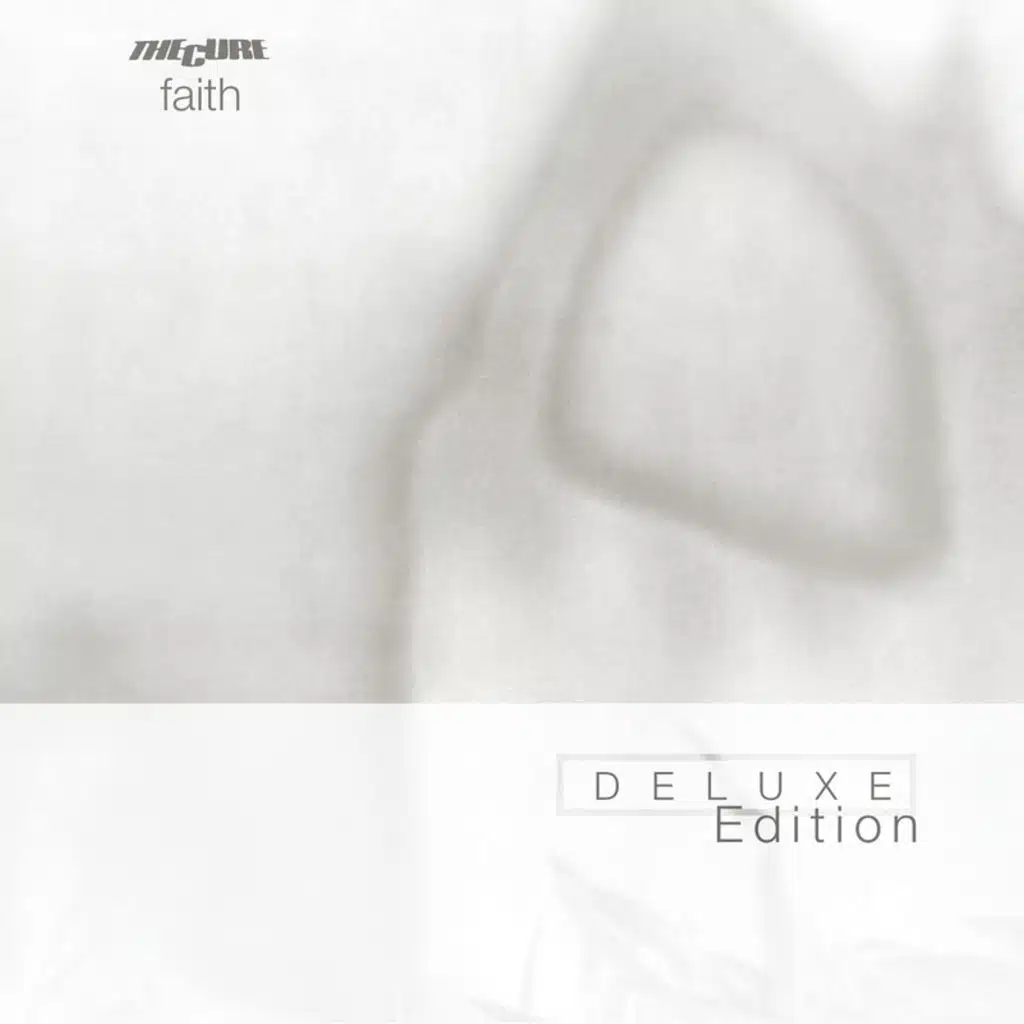 The Funeral Party (Live Somewhere Summer /81)