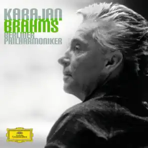 Brahms: Symphony No.1 In C Minor, Op.68 - 3. Un poco allegretto e grazioso