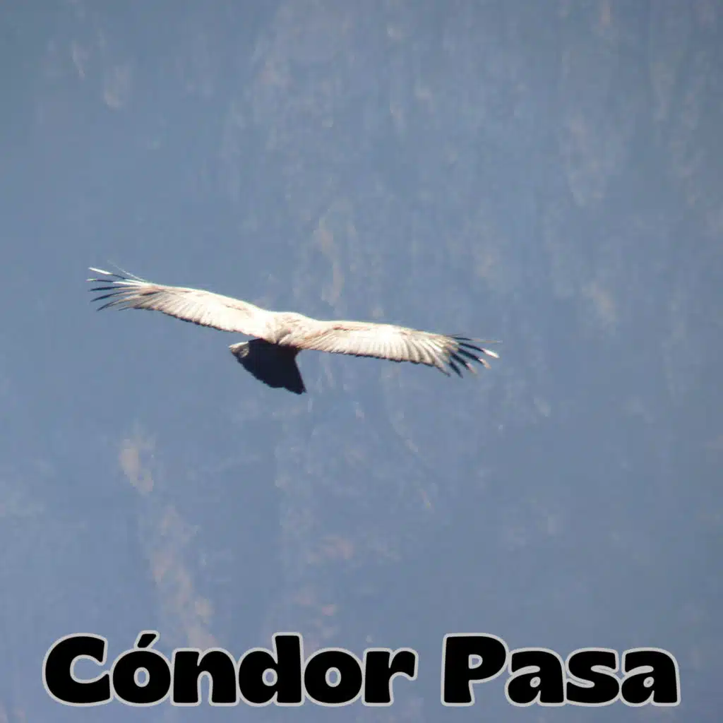 Cóndor Pasa