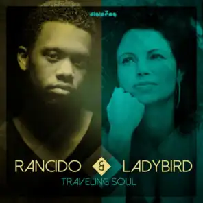 Traveling Soul (Andy Compton's Rural Soul Mix)