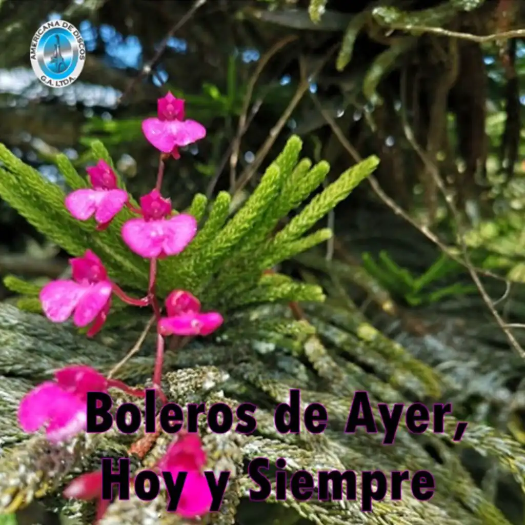 Errante de un Amor (feat. Ricaurte Arias)