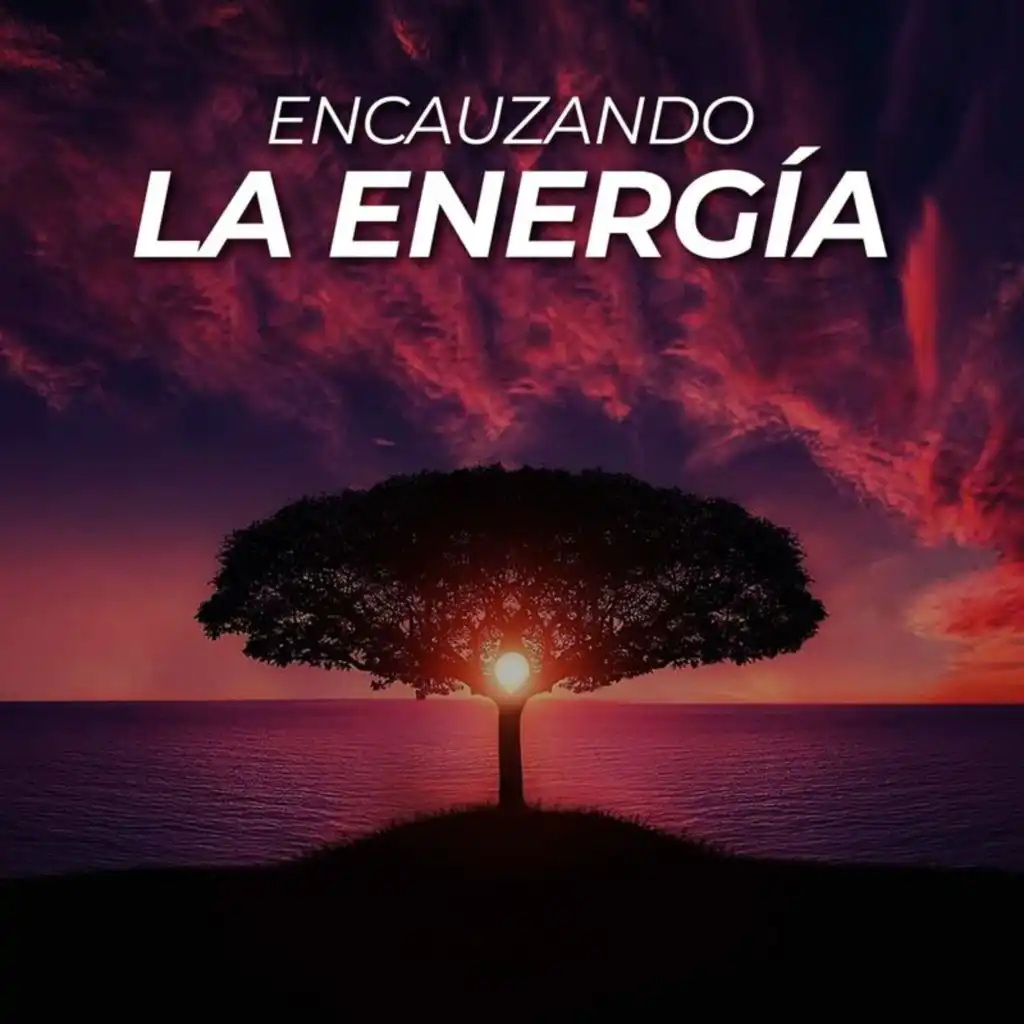 Encauzando la energía