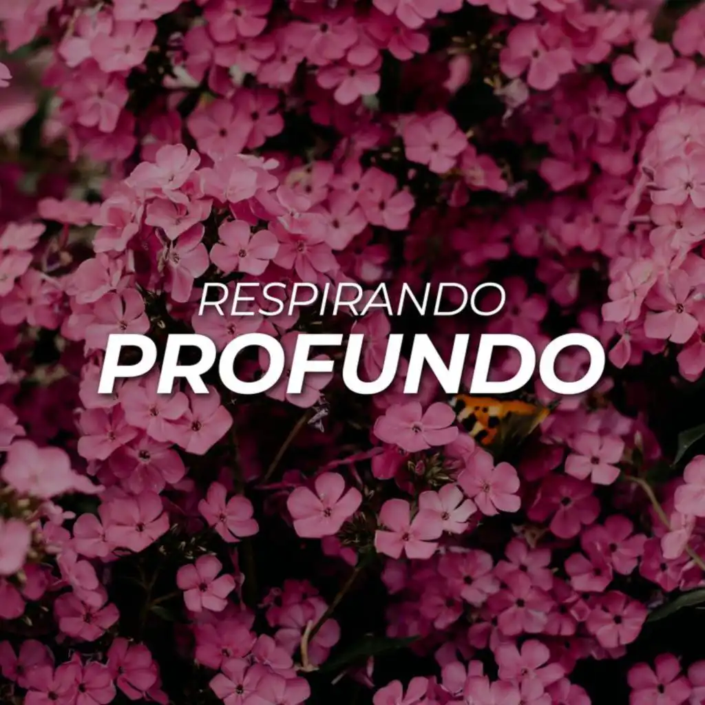 Respirando profundo