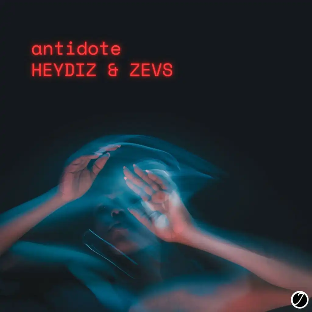 HEYDIZ & ZEVS