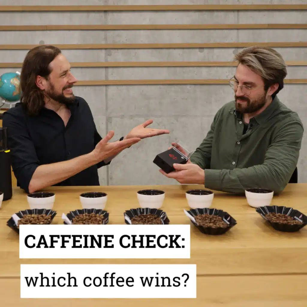 Which coffee has the most caffeine: Arabica, Robusta, Liberica or Excelsa?