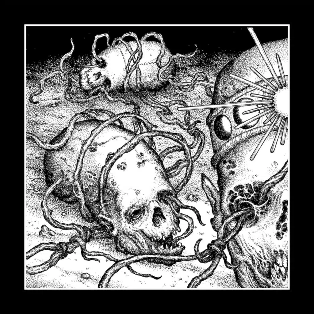 14°42’24.93″S 75 8’18.40″W