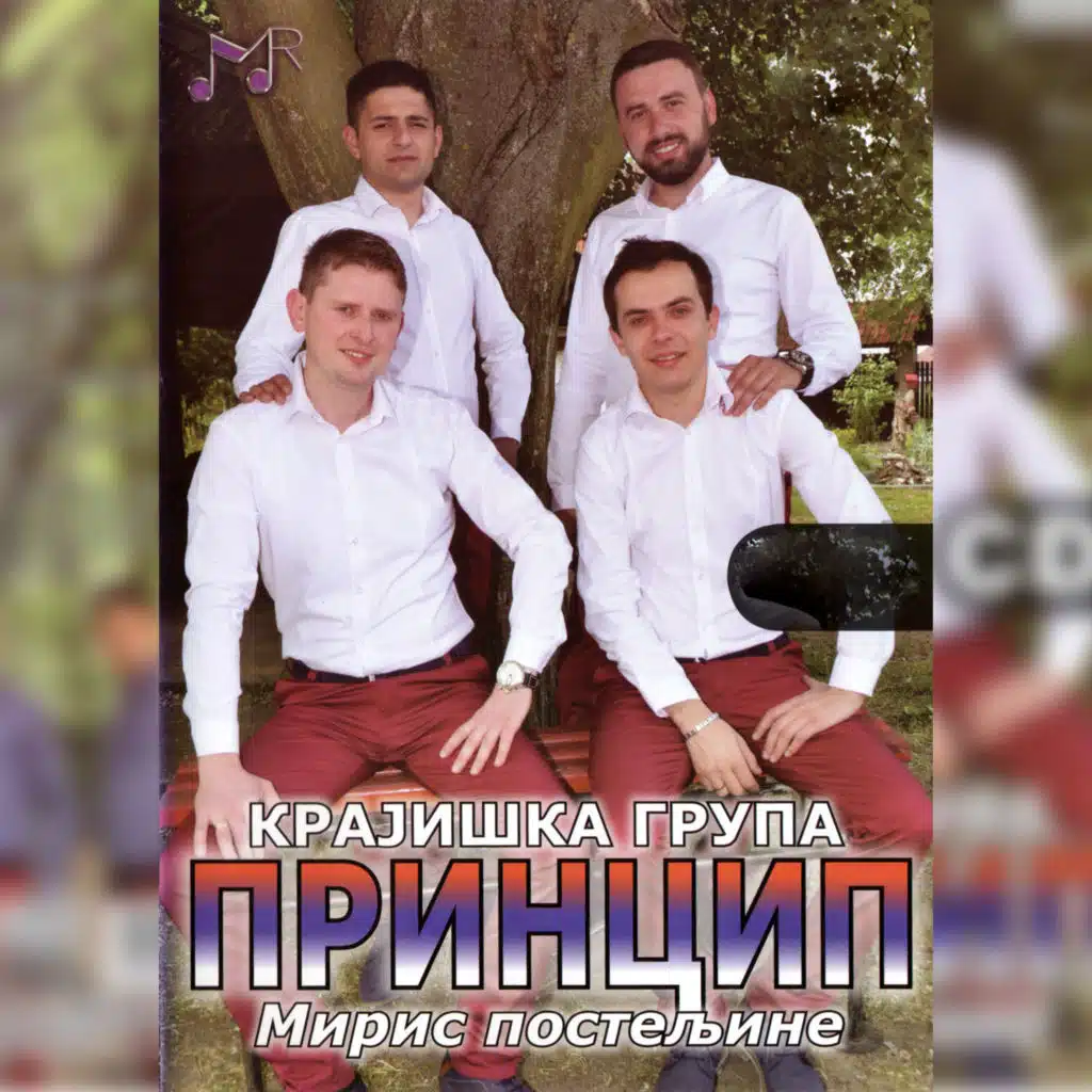 Krajiska grupa Princip