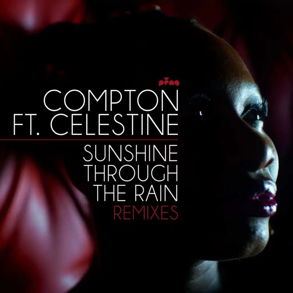 Sunshine Through the Rain (feat. Celestine)