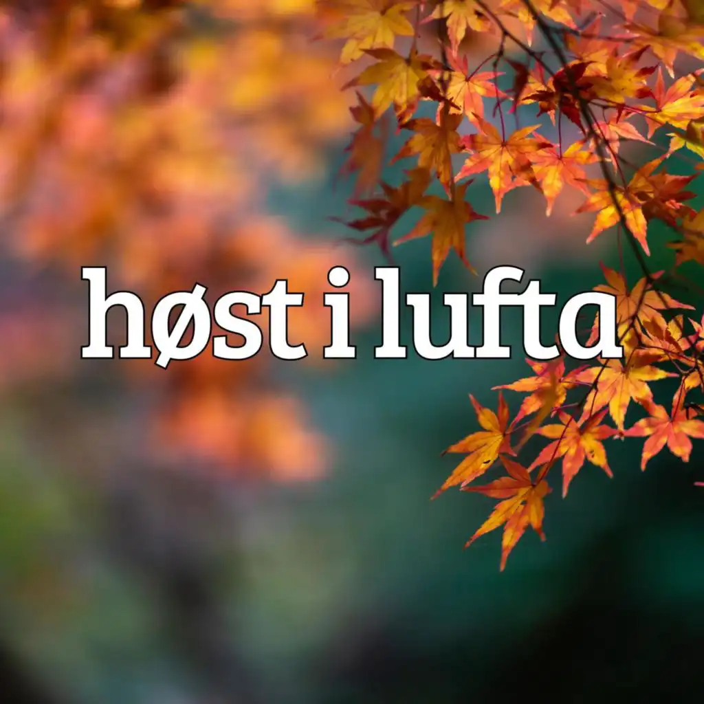 høst i lufta