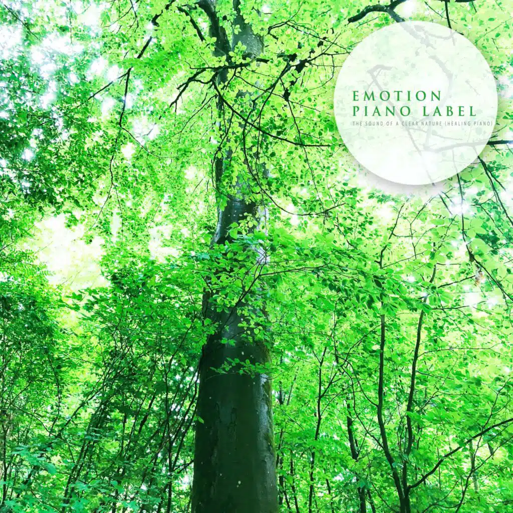 The Sound Of A Clear Nature (Healing Piano) (Nature Ver.)