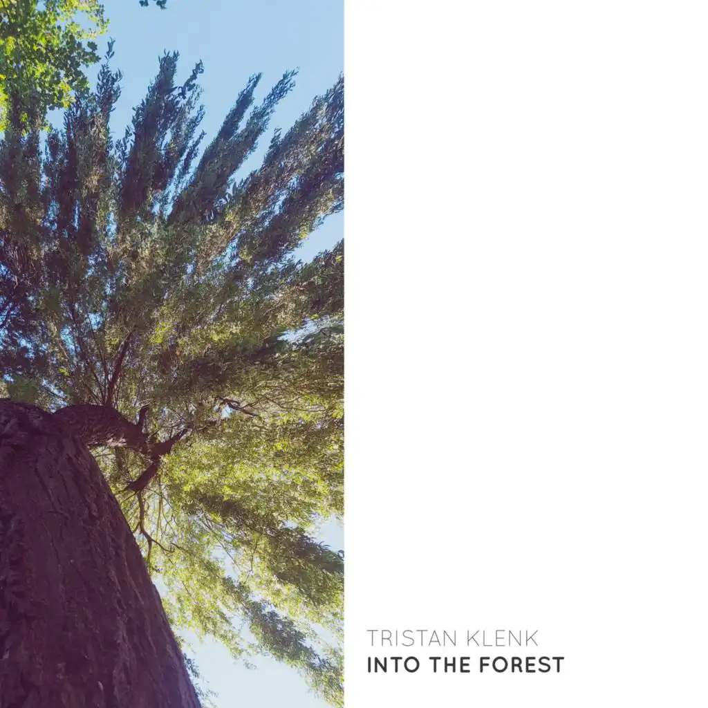 Into The Forest