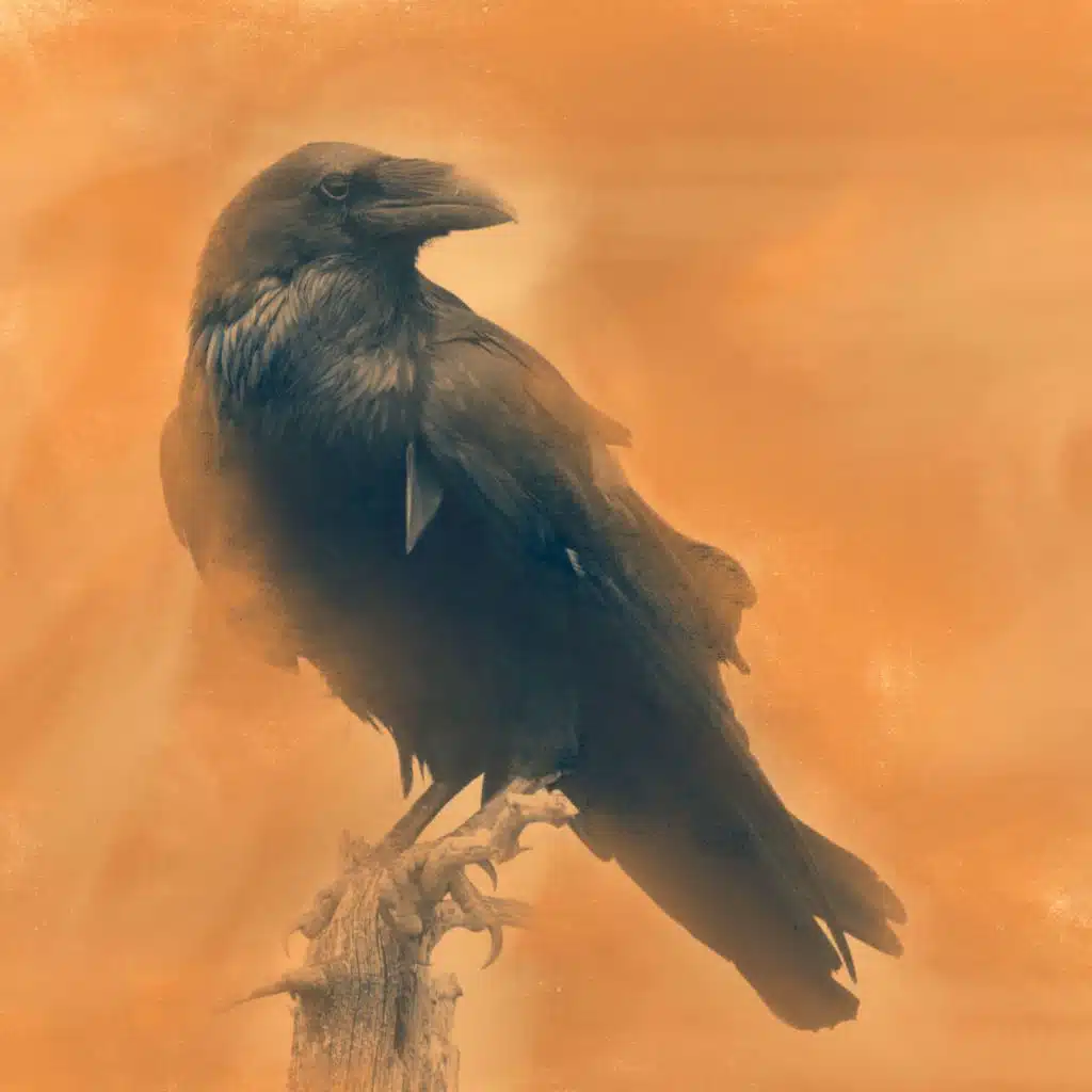 What the trees know /  kîkwây mîtosak ê-kiskêyihtahkik