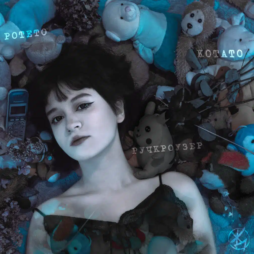 ротето котато ручкроузер