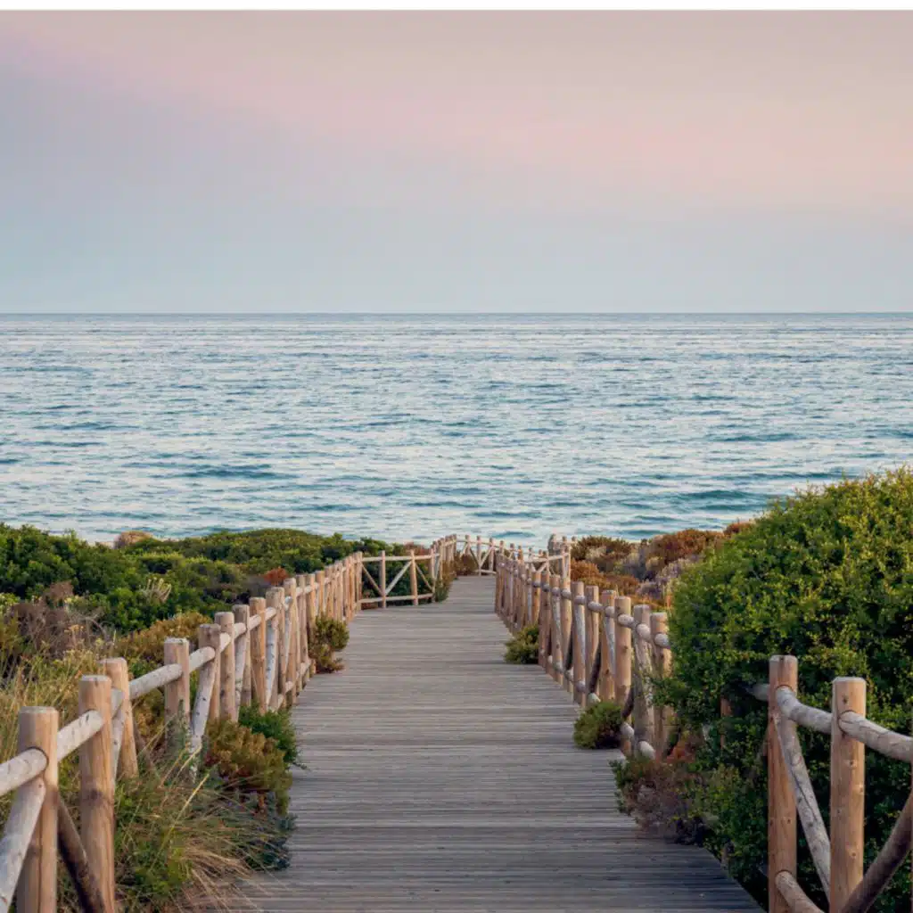 Gentle Steps Quiet Path