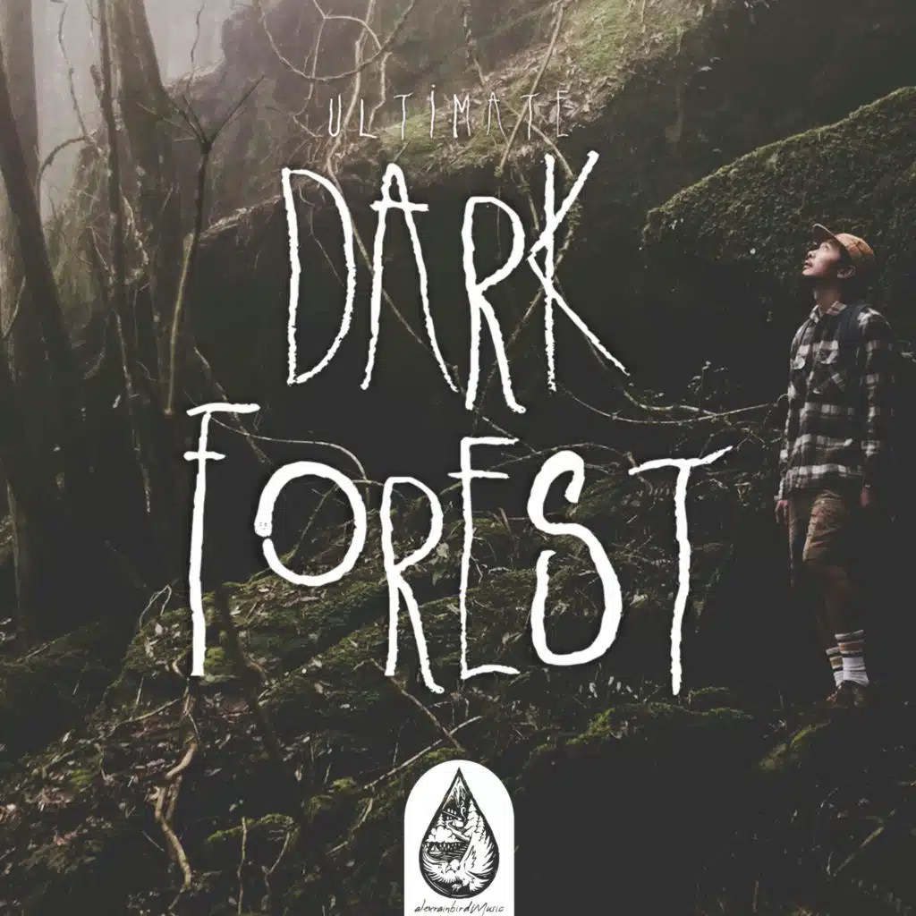 Ultimate Dark Forest (alexrainbirdmusic)