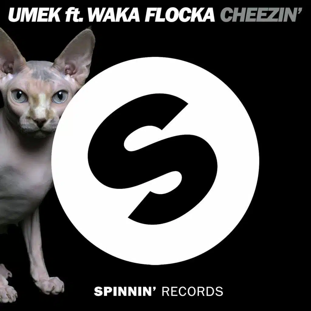 Cheezin' (feat. Waka Flocka Flame) [Radio Edit]