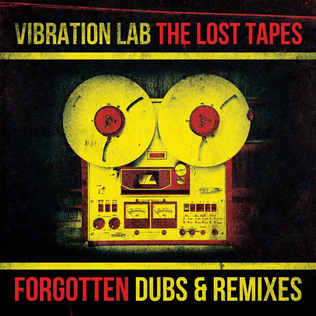 Pretender (Vibration Lab Remix)