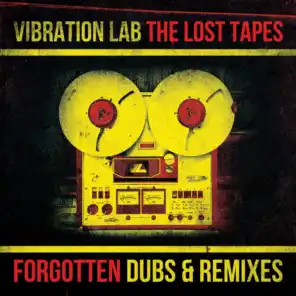 Rise Up (Vibration Lab Remix) [feat. Mr.Williamz]