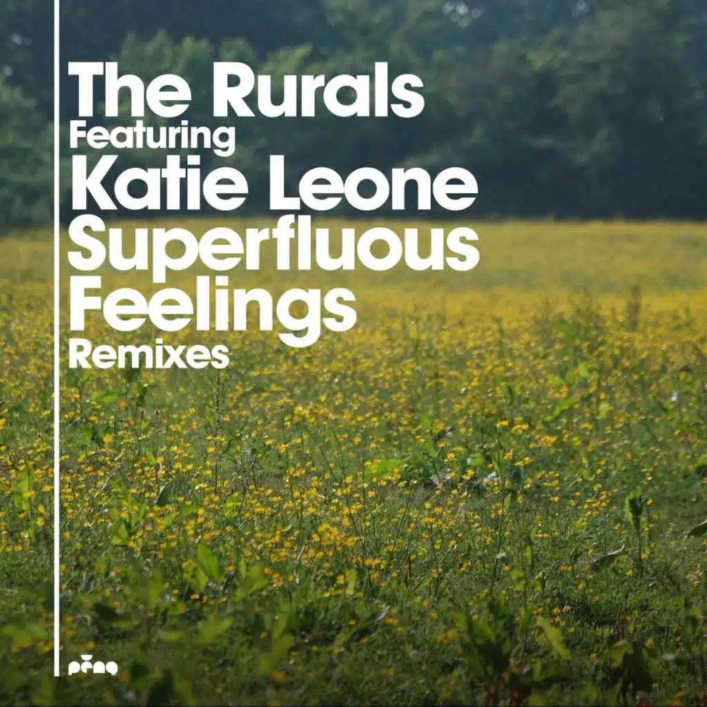 Superfluous Feelings (Andy's Guitar Mix) [feat. Katie Leone & Andy Compton]