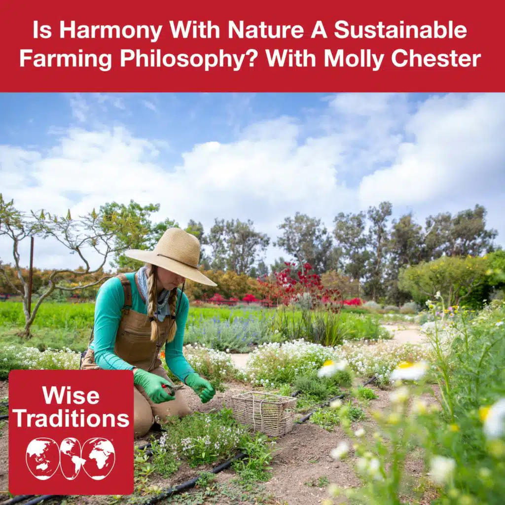 492: Is Harmony With Nature A Sustainable Farming Philosophy? with Molly Chester