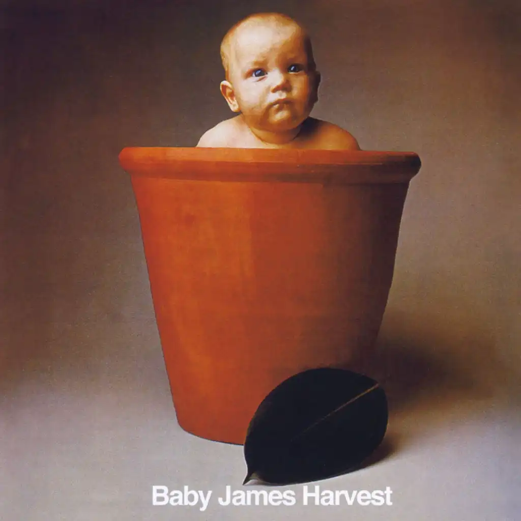 Baby James Harvest (2023 Expanded & Remastered)