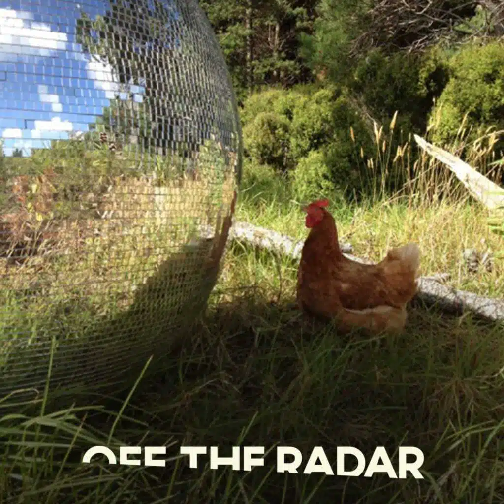 Pre-Cursor of a Tragedy