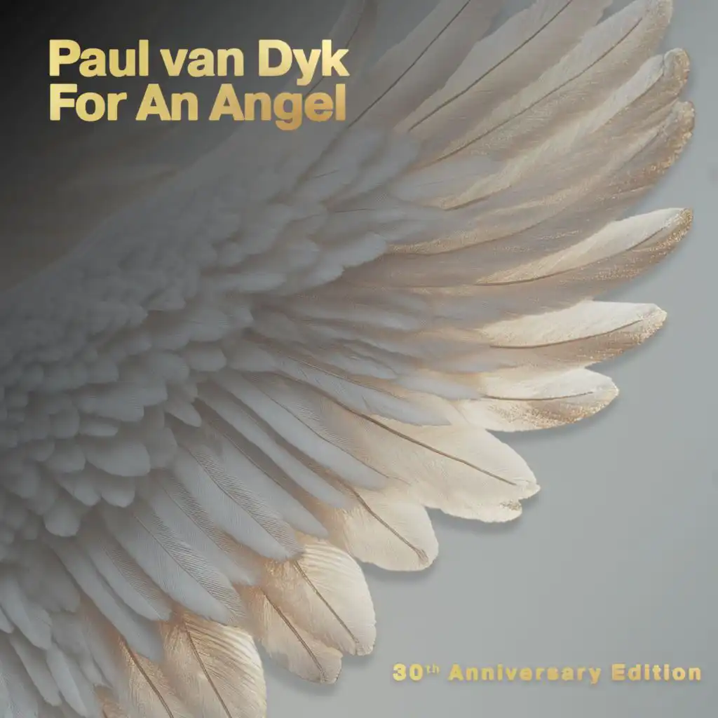 For an Angel (PvD Edit '09)