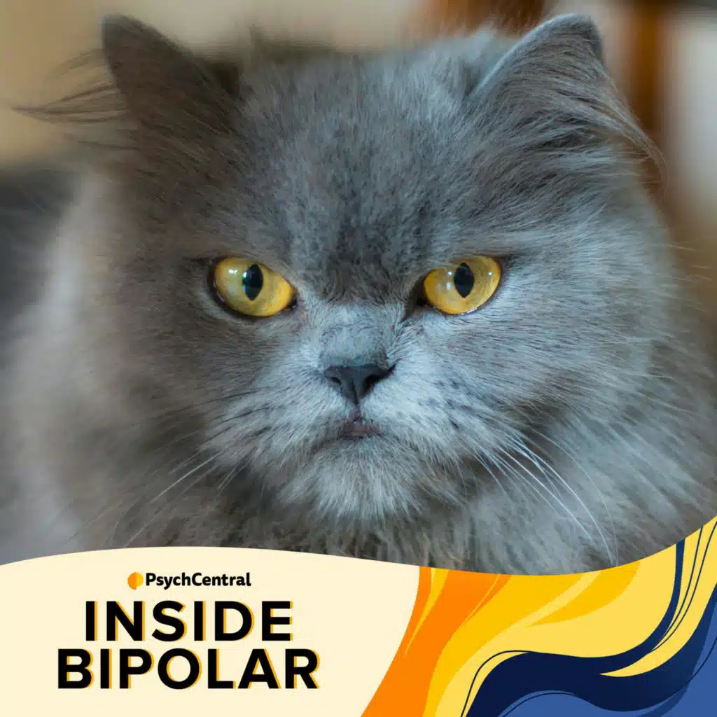 Coping with Agitation and Irritability with Bipolar Disorder