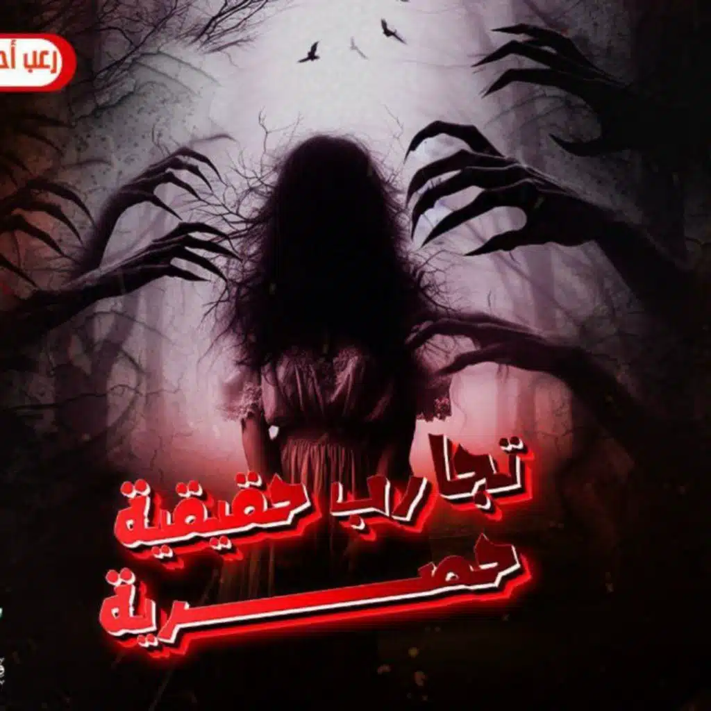 تجارب حقيقية حصرية