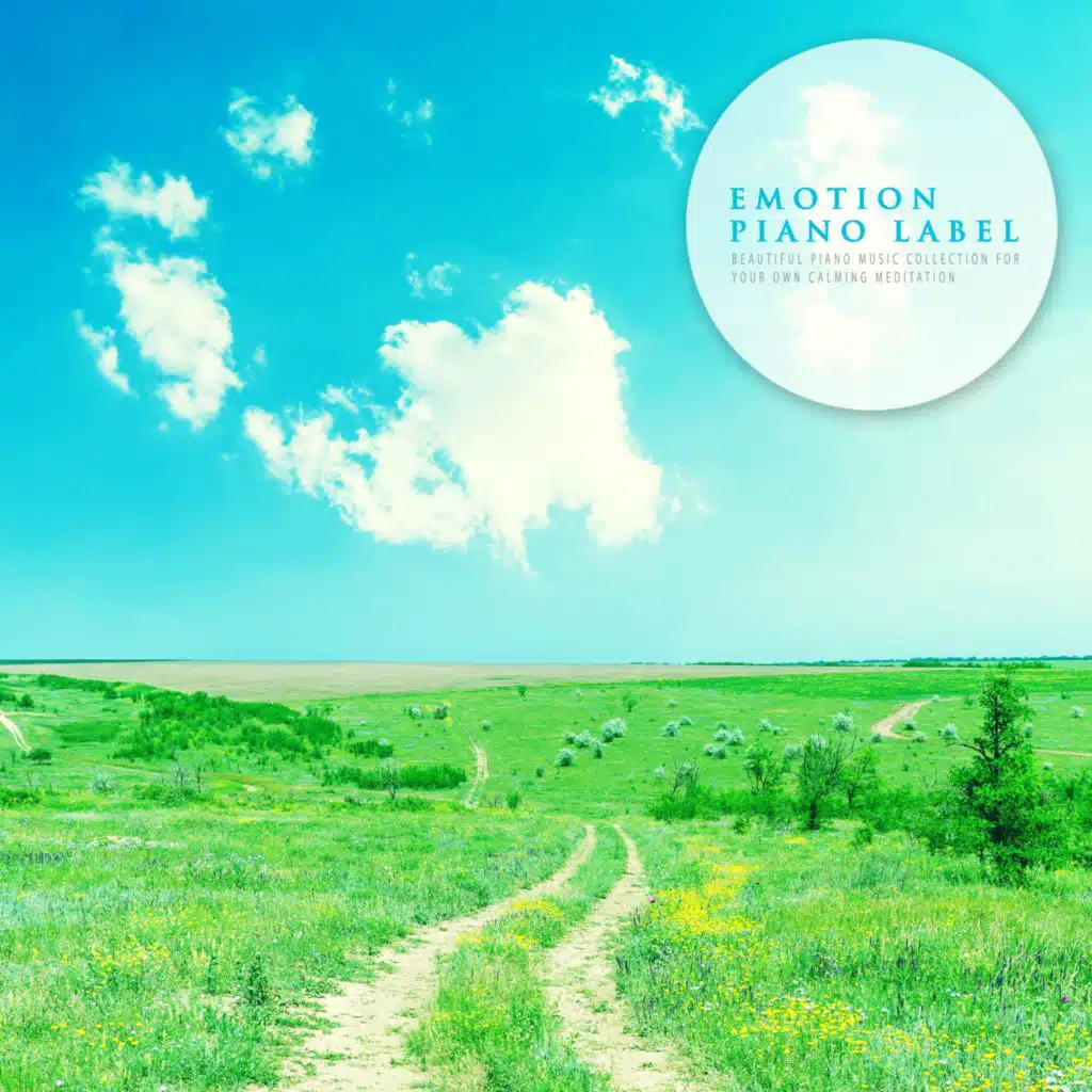 Beautiful Piano Music Collection For Your Own Calming Meditation