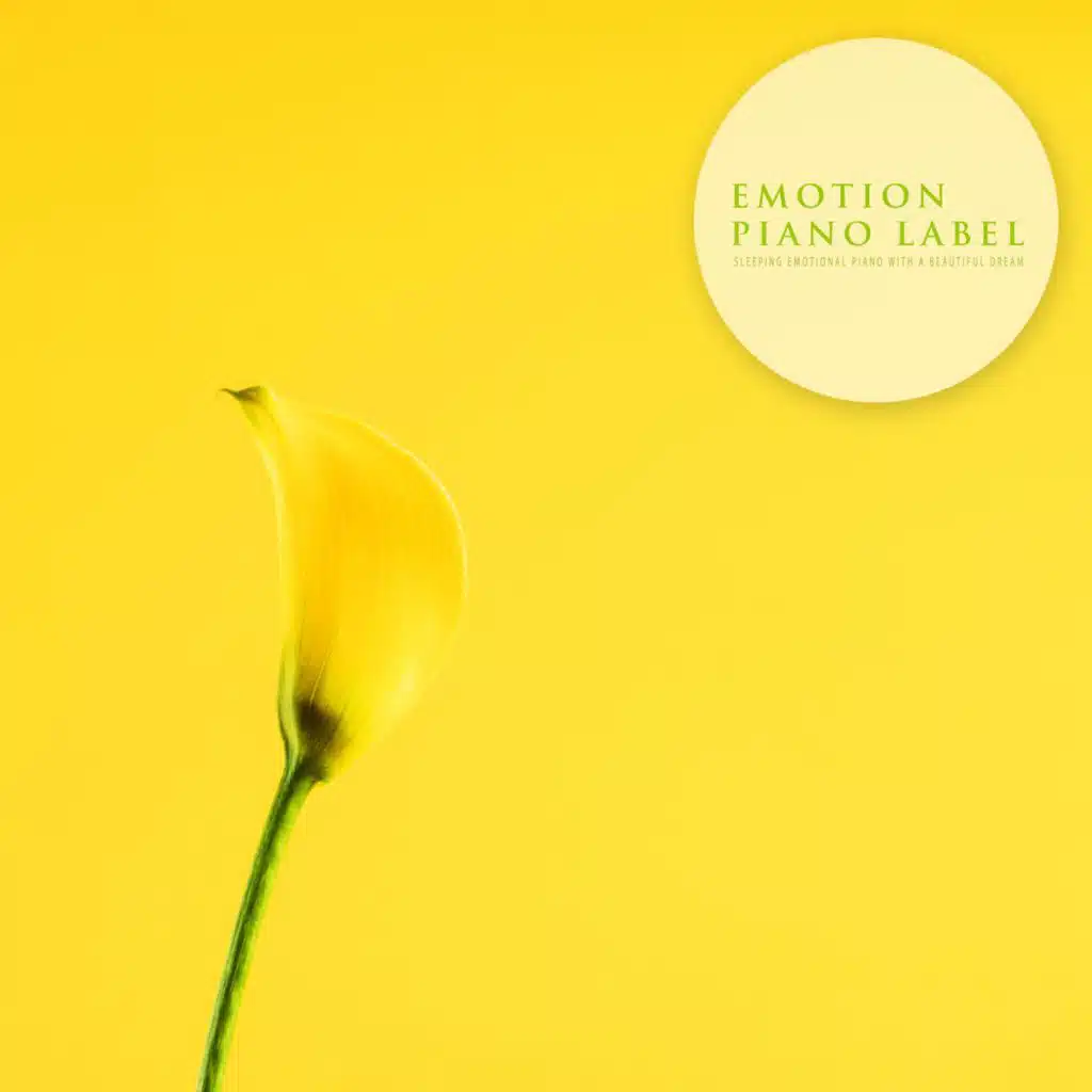 Sleeping Emotional Piano With A Beautiful Dream