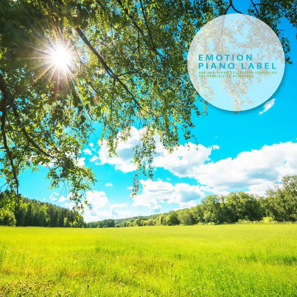 Healing Piano Collection Conveying The Sensibility Of Nature (Nature Ver.)