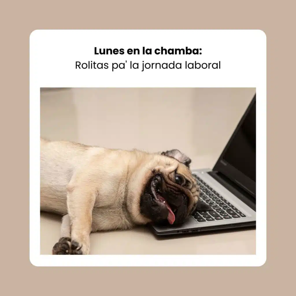 Lunes en la chamba: Rolitas pa' la jornada laboral