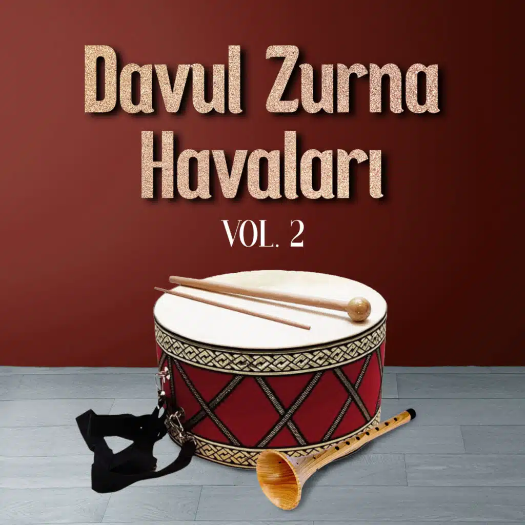 Davul Zurna Havaları, Vol. 2 (Enstrümantal)