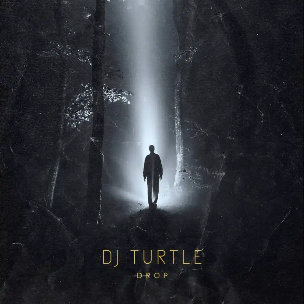 Dj Turtle