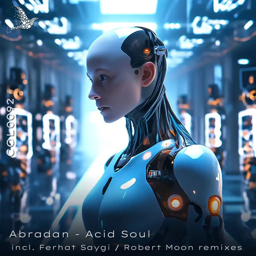 Acid Soul (Robert Moon Remix)