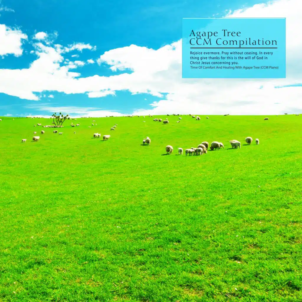 Time Of Comfort And Healing With Agape Tree (CCM Piano)