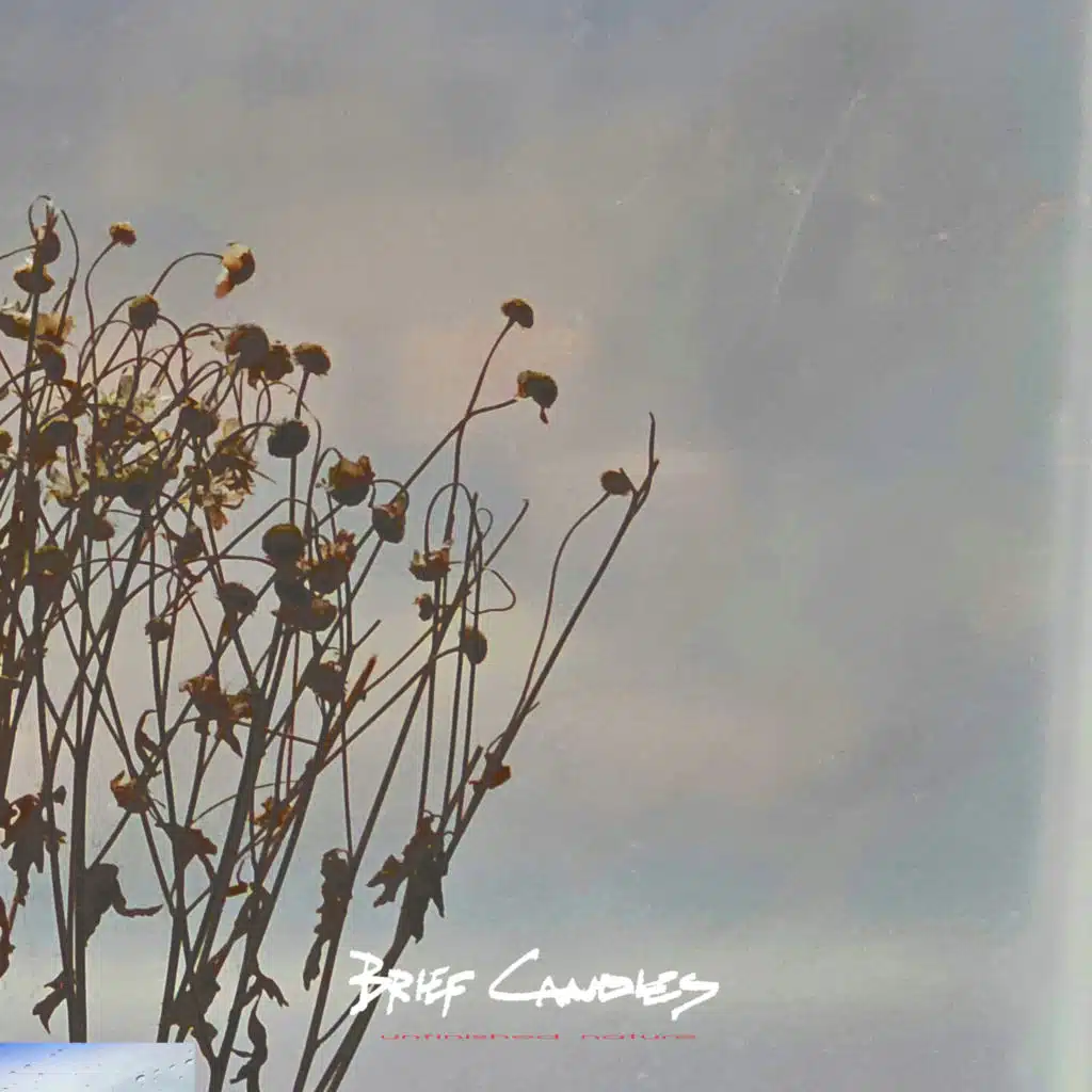 Brief Candles