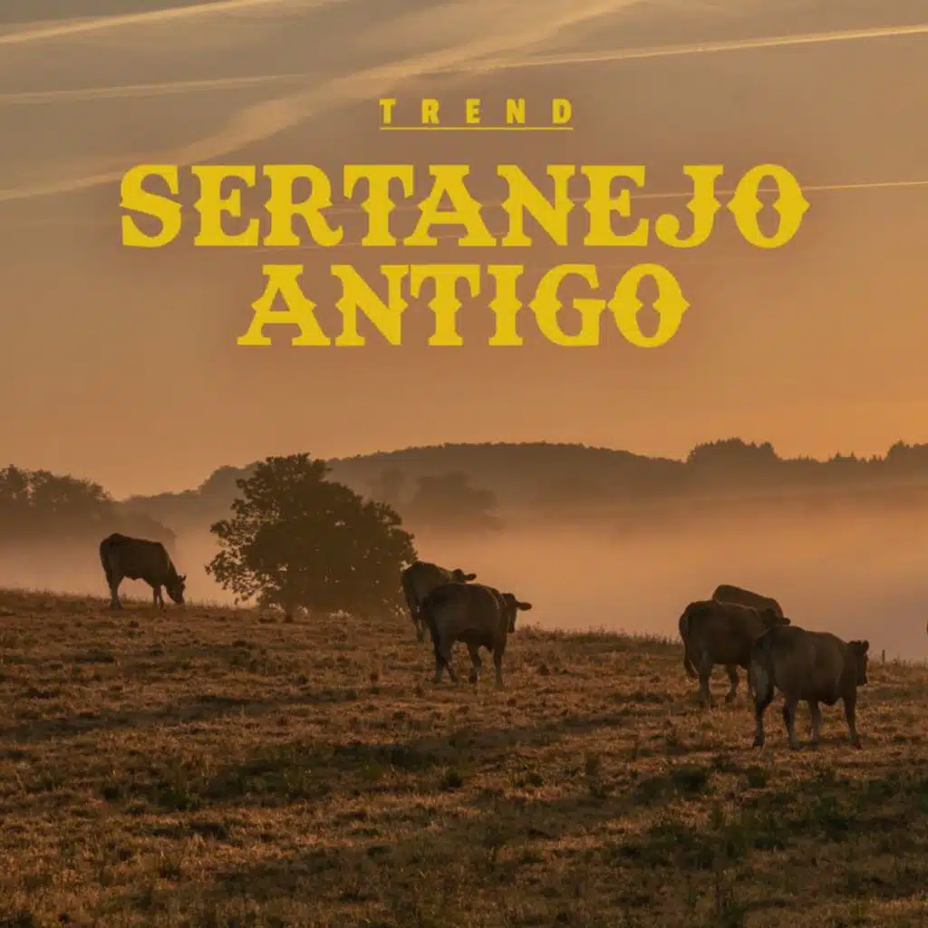 Eu Vou Morrer De Amor