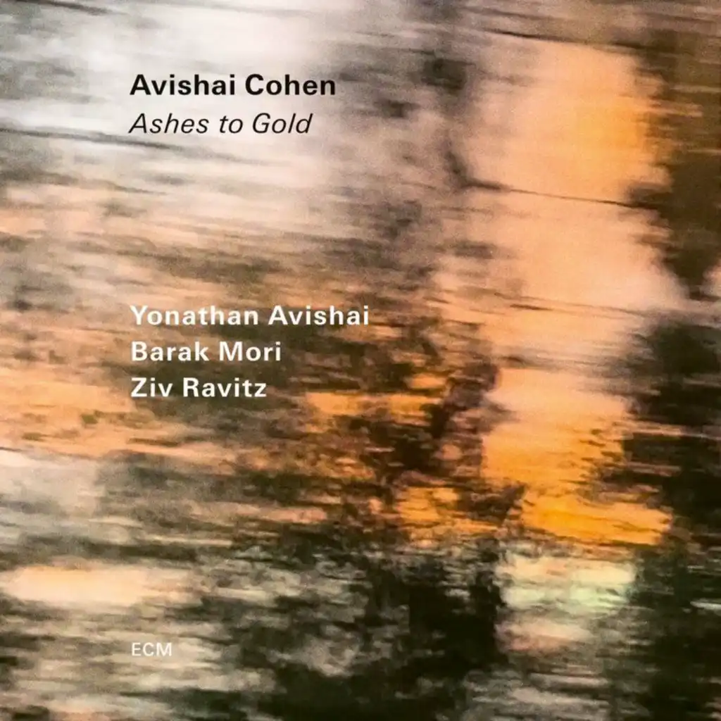 Avishai Cohen