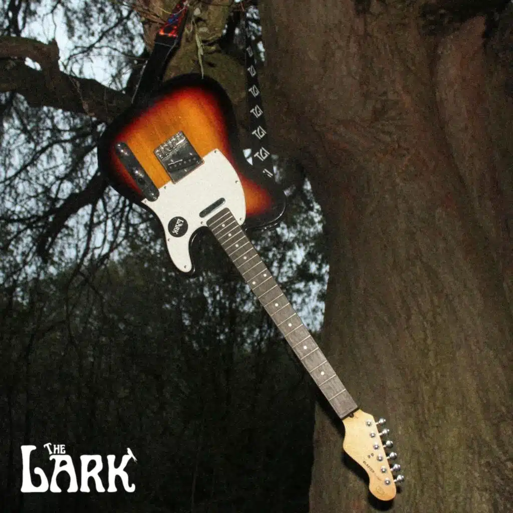 The Lark