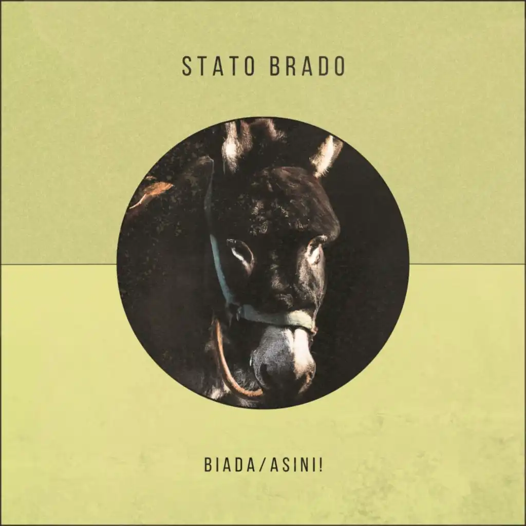 Stato Brado