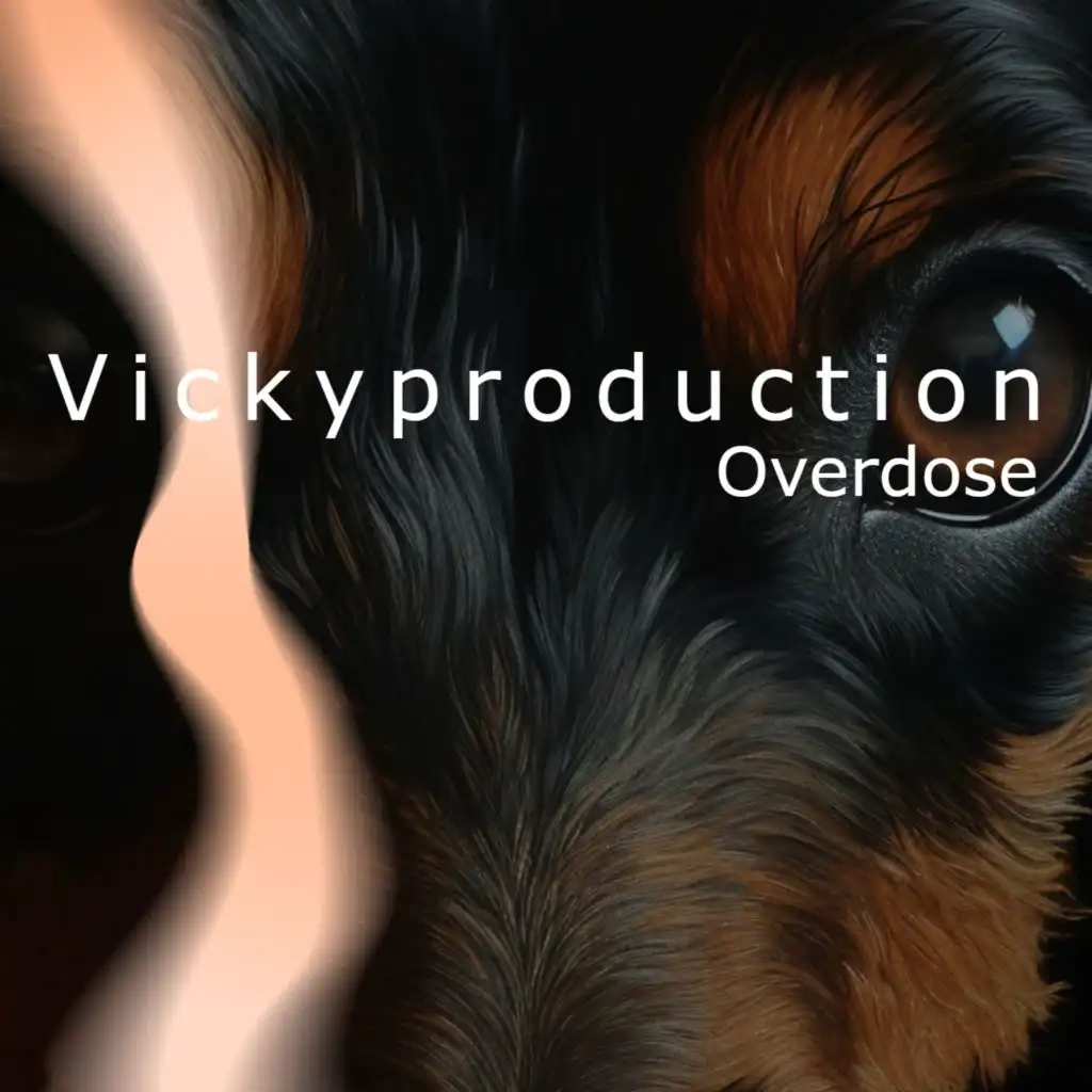 Vickyproduction