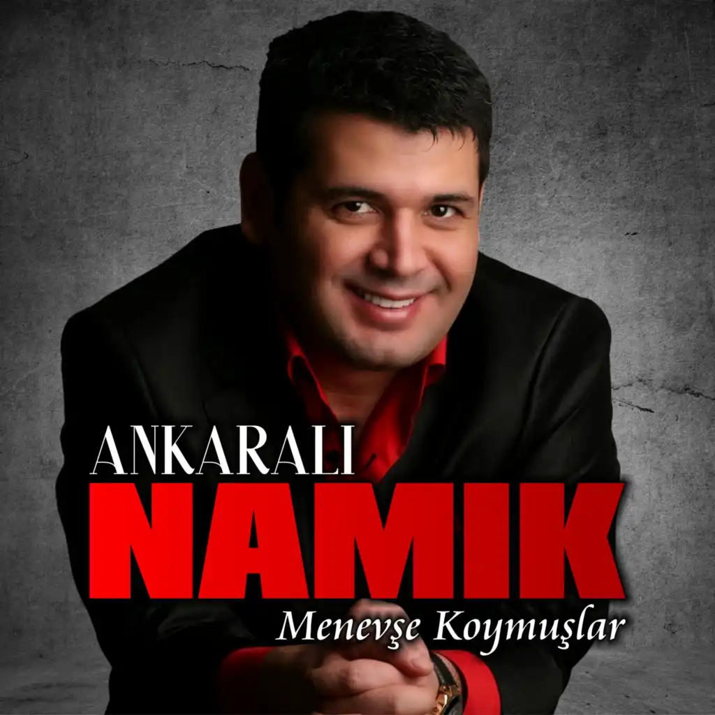 Ankaralı Namık