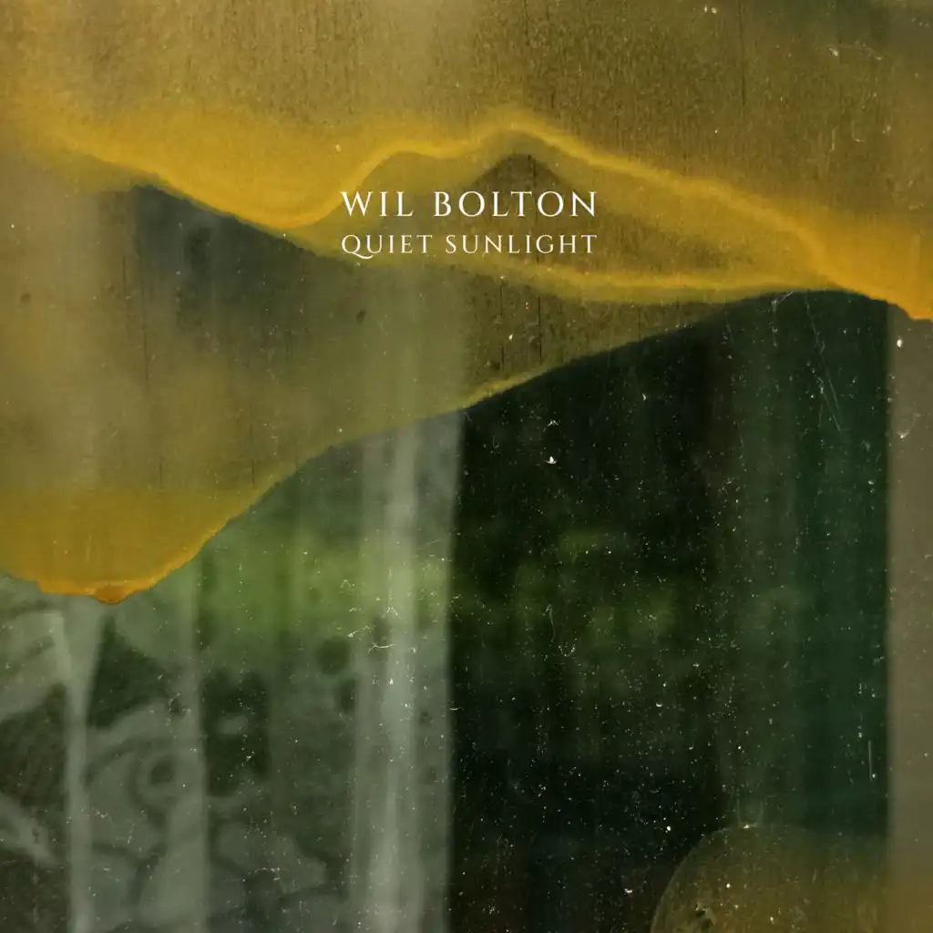 Wil Bolton